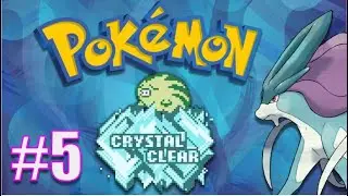 Can We Finish Kanto's Gyms Today? || Pokemon Crystal Clear