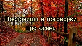 Пословицы, поговорки и приметы про осень детям. Пословицы об осени 
