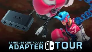 GameCube Controller Adapter Tour with Nintendo Switch's ARMS