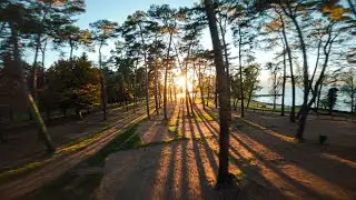 New Year New Start - FPV Freestyle