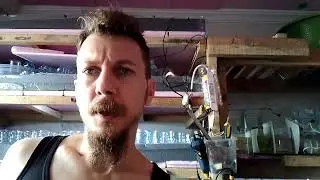 Betada taktik değişikliği - Akvaryum odası son durumu.