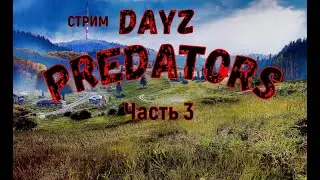 Dayz PREDATORS. Стрим. Выживание на самом жестком проекте. Часть 3