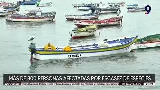 Pescadores en alerta por baja captura de sardina y anchoveta más de 800 personas afectadas