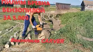 НА ЧТО СПОСОБНА БЕНЗОПИЛА ЗА 5.000 ТЫСЯЧ РУБЛЕЙ