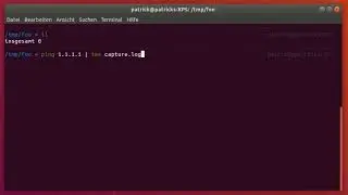 How to view the output of a command and log it at the same time in Linux