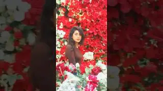 ❤️❤️#fypシ #omg #gullimata #gulimata #saadlamjarred #shreyaghoshal #shortvideo #trending #viralvideo