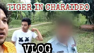 TIGER IN CHARAIDEO MAIDAM | TALATAL GHAR | VLOG | SIVASAGAR | ASSAM