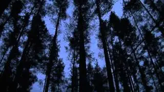 Шаманский Trip SPIRALITY - demo video by Miron
