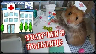 ХОМЯЧКИ У ДОКТОРА