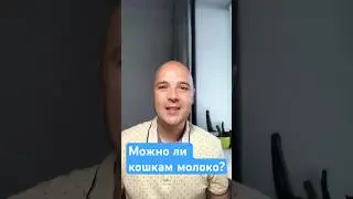 Можно ли давать кошкам молоко? #кошки #ветеринар