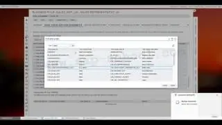 SAP C4C Training: Maintaining Employees