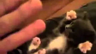 Какой милый!