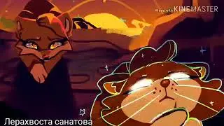 || Коты воители || ~клип~{Remedy}