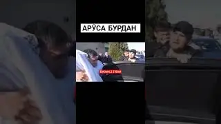 АРӮСА ЧИБА ИХЕЛИ МАЗОК КАРДАН 