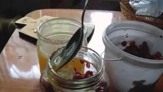 Копия видео Земляника в меду с имбирем