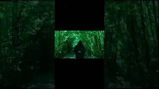 terka sins & sad faces - czarne motyle prod. opium