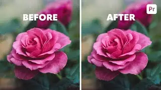 Quickly fix grainy video footage in Adobe Premiere Pro