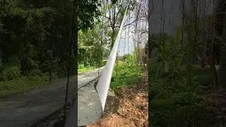 Log Swing Moving In Soft Breeze