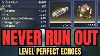 The RIGHT Way to Level Echoes in Wuthering Waves (F2P)