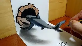 3D Trick Art on Paper   Shark in the hole