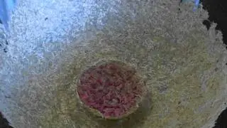 patye's aspergeschaal