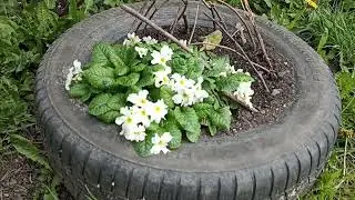г Черняховск (район Победы)
