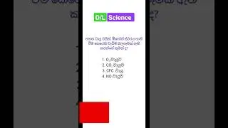 විද්‍යාව Revision 🧠|122| #ol #mcq #science #ඕසෝන්වියන #සාමාන්යපෙළ #shorts #sinhala #olexam #CFC