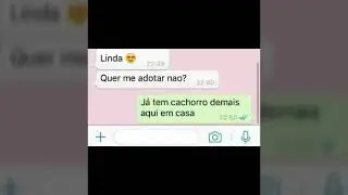 10 patadas que você pode usar no whatsapp.