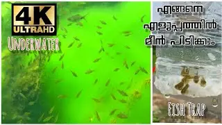 Underwater 4K HD Video || Pond fishes || Fish Trap