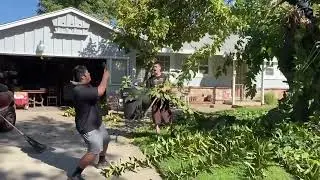 Trimming my Grandmas tree with my dad and cousins. (Short Video)