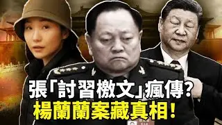 张又侠内部讲话网上疯传！要求习近平亲自走进秦城监狱「面壁思过」？习近平家族2万亿丑闻？杨兰兰车祸牵出中共高层权斗！
