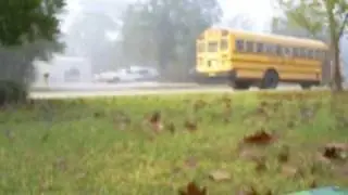 School Bus Spotting
