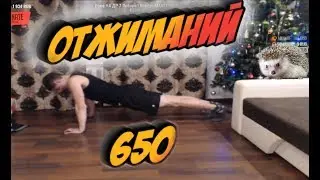 650 Отжиманий! - НЕ КЛИКБЕЙТ - ЧЕЛЛЕНДЖ