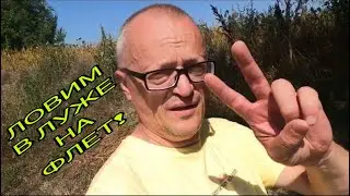 ЗОЛОТОЙ КАРП В ЛУЖЕ! РИБАЛКА НА ФЛЕТ! 26.08.2024.