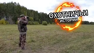 Охотничьи истории.