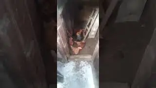 ПОЙМАЛА НА МЕСТЕ ПРЕСТУПЛЕНИЯ.