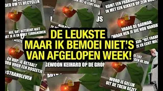 kikker