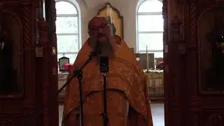 Перед битвой Челубей ругался матом и тем самым призывал бесов. Протоиерей Геннадий Заридзе.