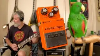 Boss DS-1 - Can It Sound Good?