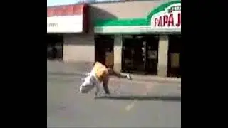 "coolpizzalolol" (@chezzkidsarchive  Chezzkidz Archive bonus material)
