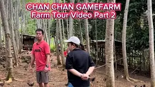 VICE MAYOR CHAN CHAN KWAN | CHAN CHAN GAMEFARM | FARM TOUR VIDEO PART 2 (RANGE AREA)