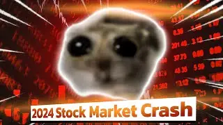 2024 Stock Market Crash. No way!