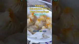 I Found Chinatown NYC’s Best Soup Dumplings!