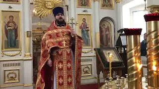 Соборная служба Новомучеников и исповедников Лопасненских. 17.02.2021