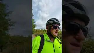 Desedai erdő egésznapos eső után