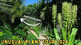 Yorkshire Kris Exotic Garden Tour 24