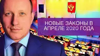 Новые важные законы и законопроекты апреля 2020 года