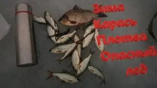 А вот и первый карась в 2020 году! Клев плотвы зимой!