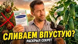 A PENNY-PINCHING REMEDY for ALL DISEASES THAT WE ARE WASTING! 🛑🌿