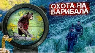Горная охота на барибала гремучие змеи  в США